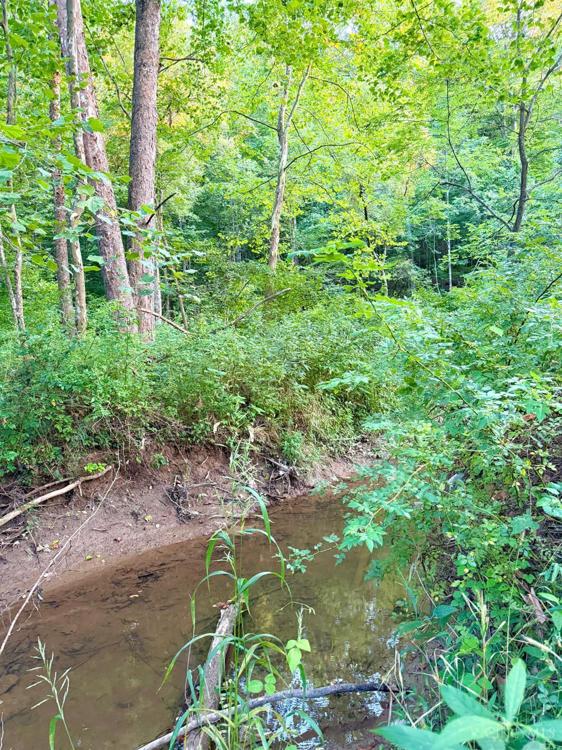 Keesee Road Property Photo 32