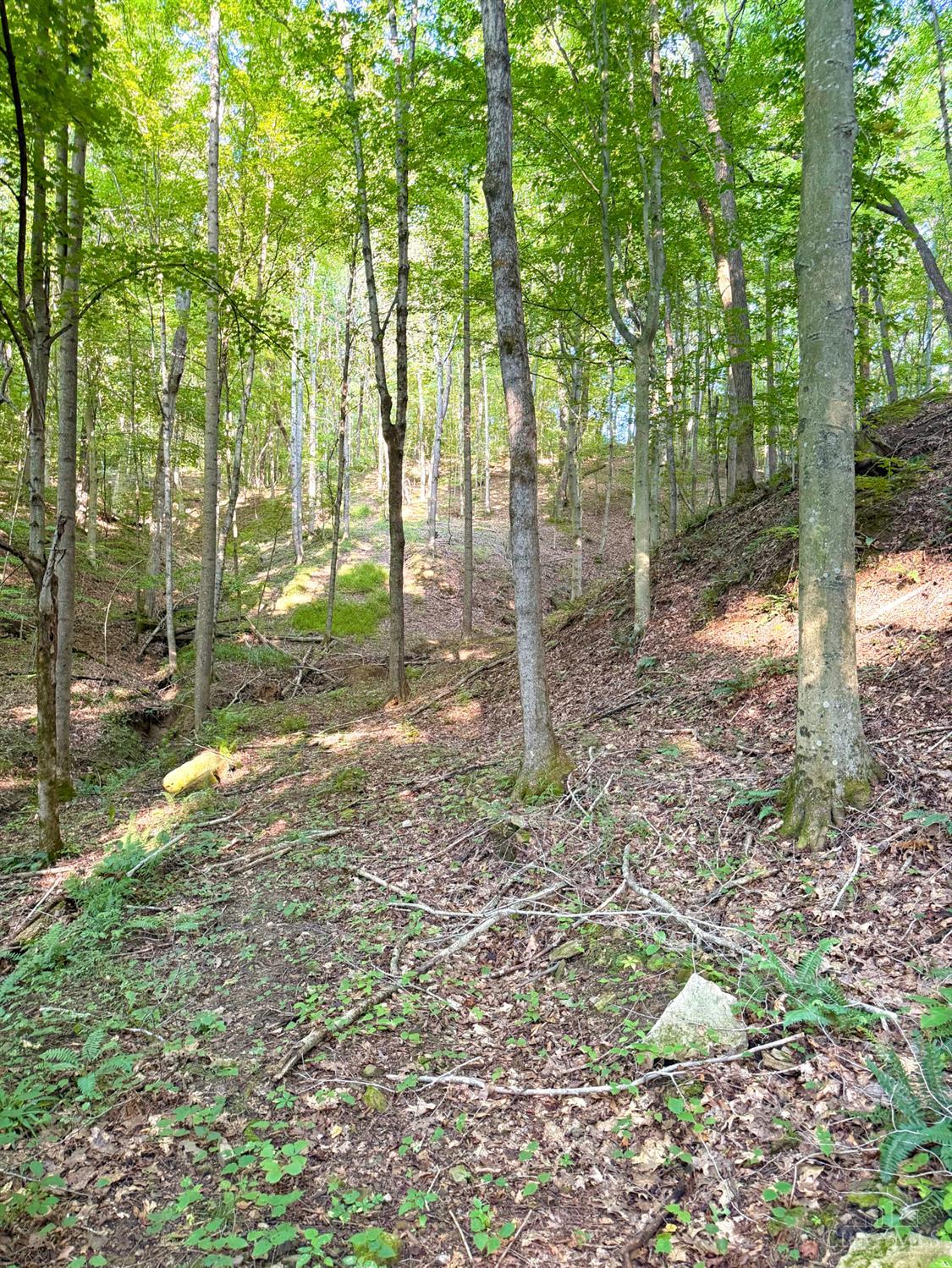 Keesee Road Property Photo 36