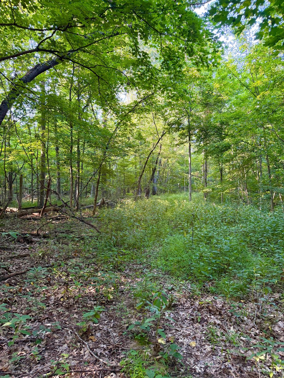 Keesee Road Property Photo 37