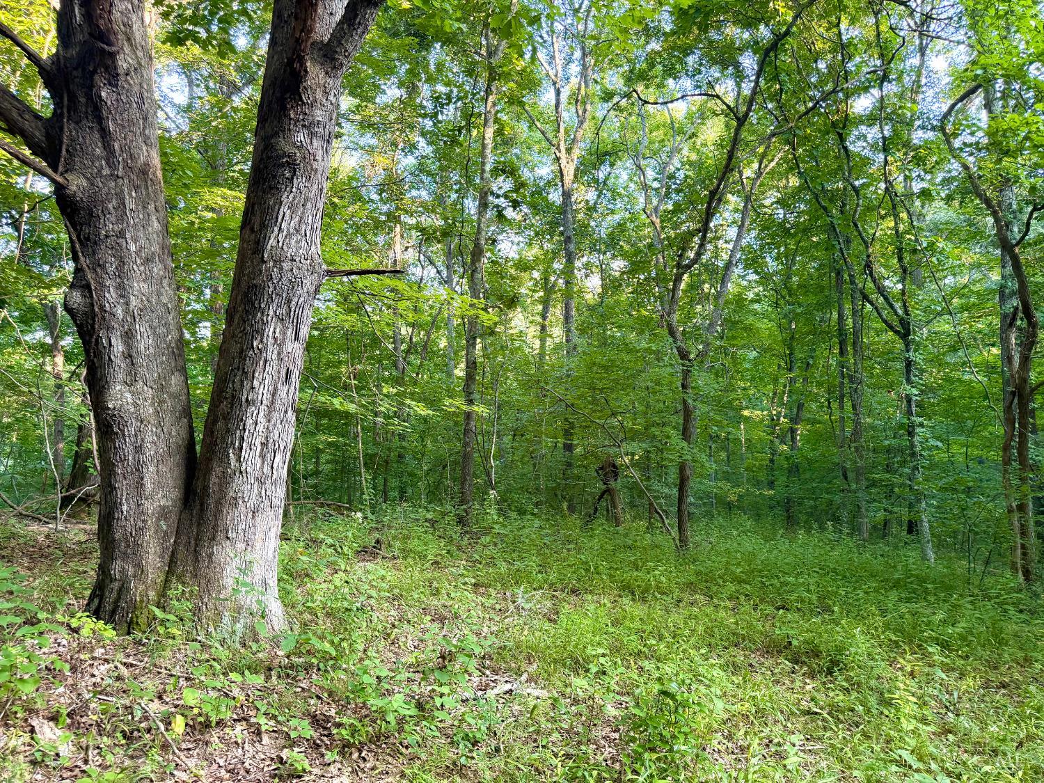 Keesee Road Property Photo 41