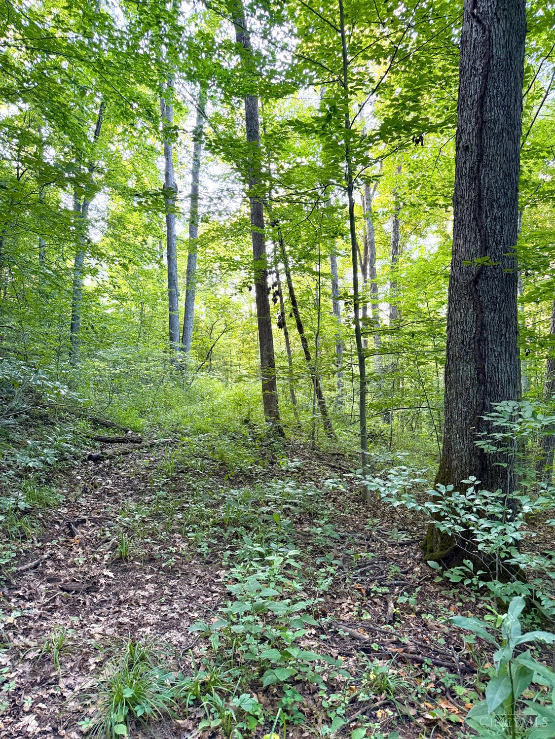 Keesee Road Property Photo 44