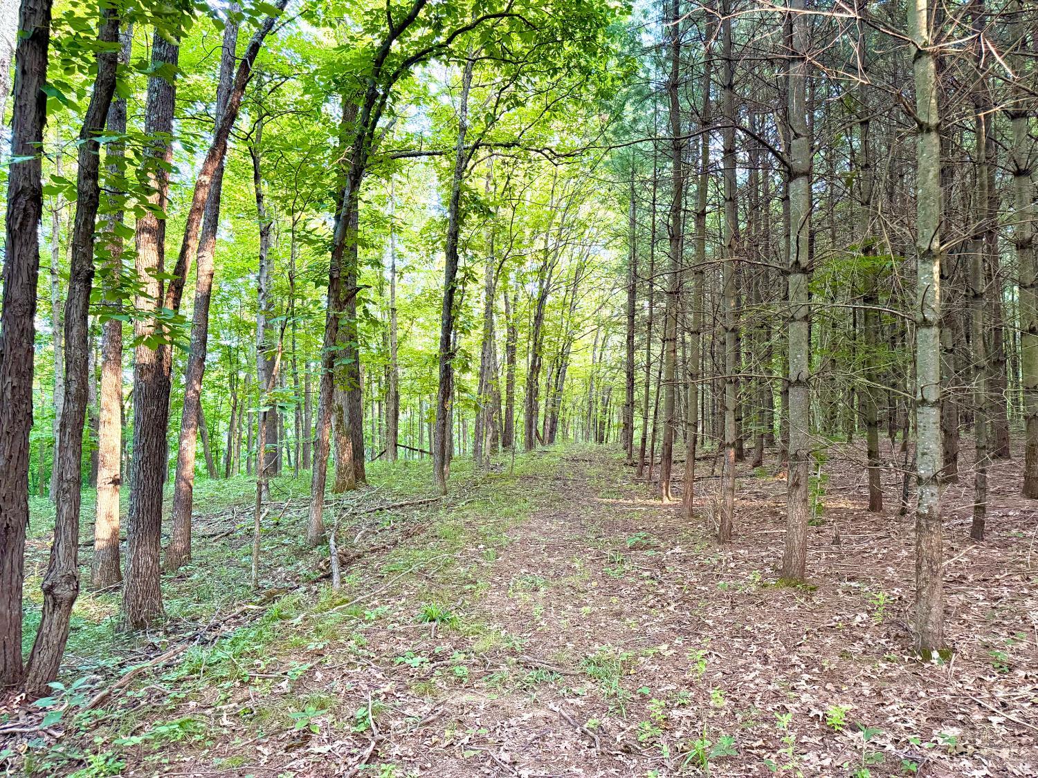 Keesee Road Property Photo 45
