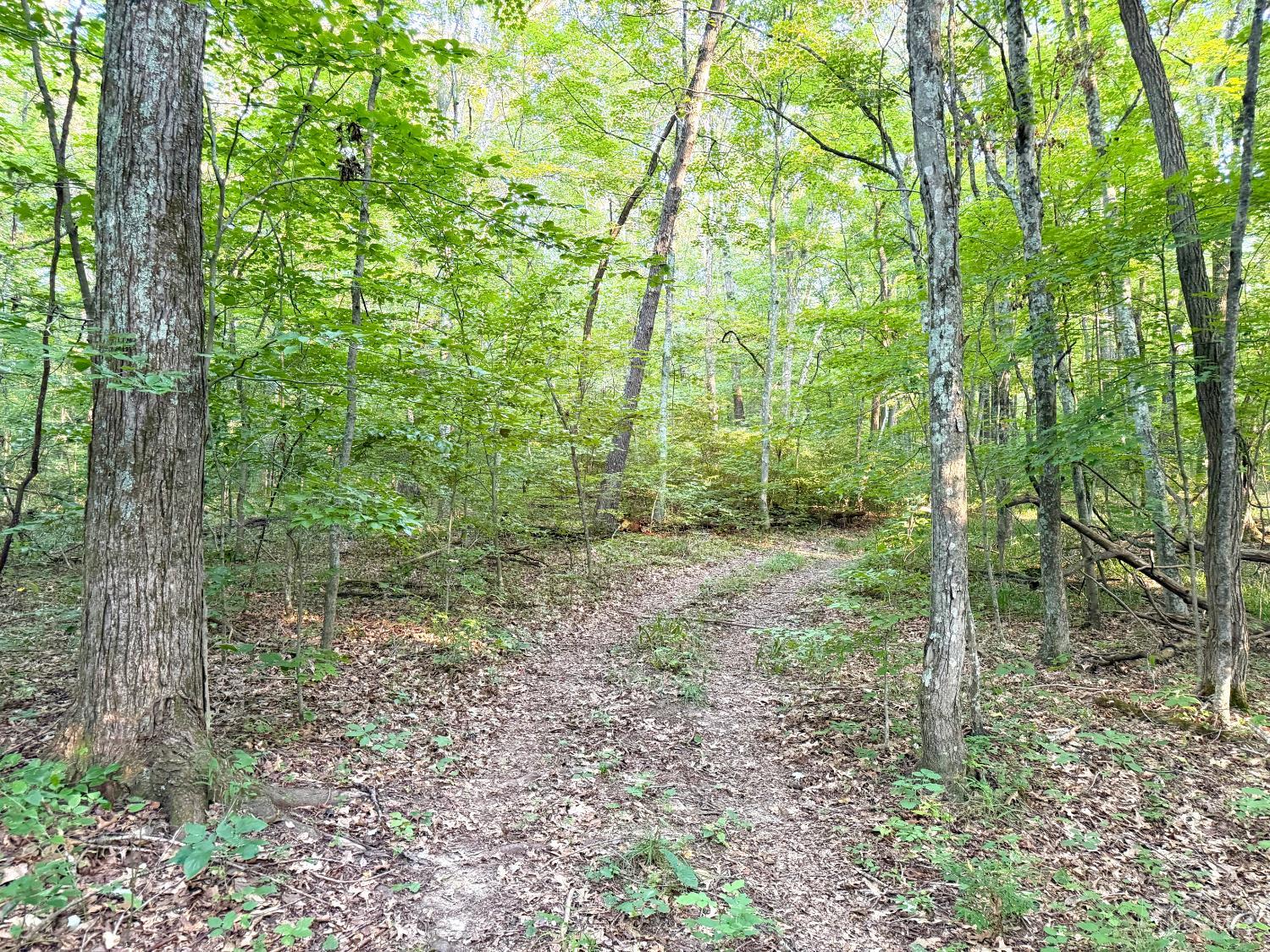 Keesee Road Property Photo 47