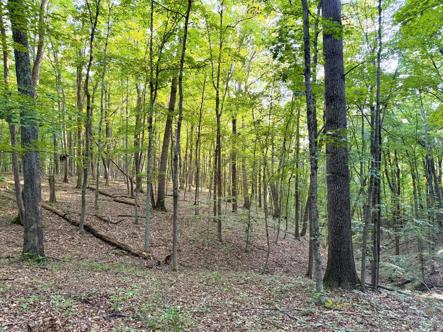 Keesee Road Property Photo 48