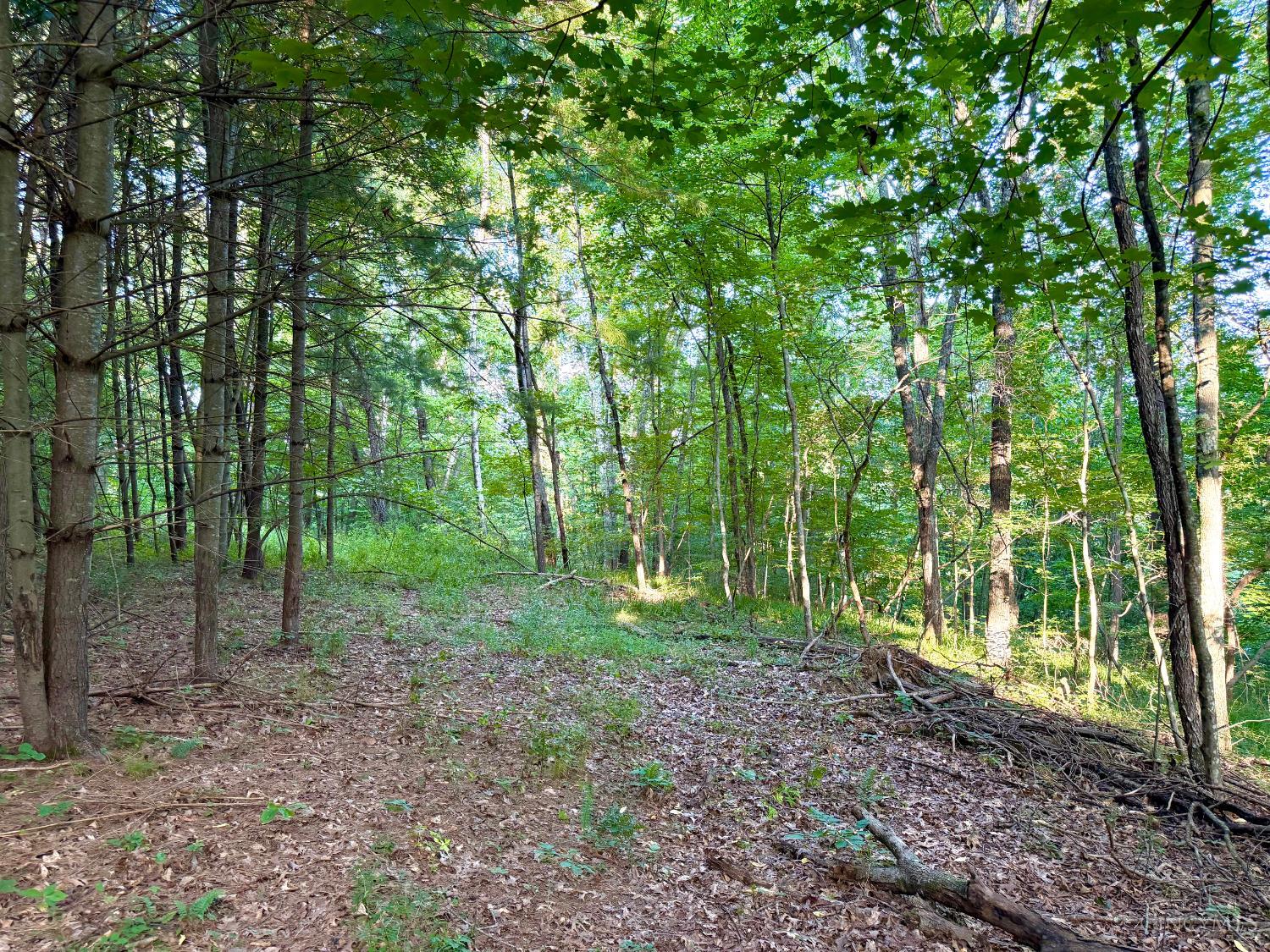 Keesee Road Property Photo 50