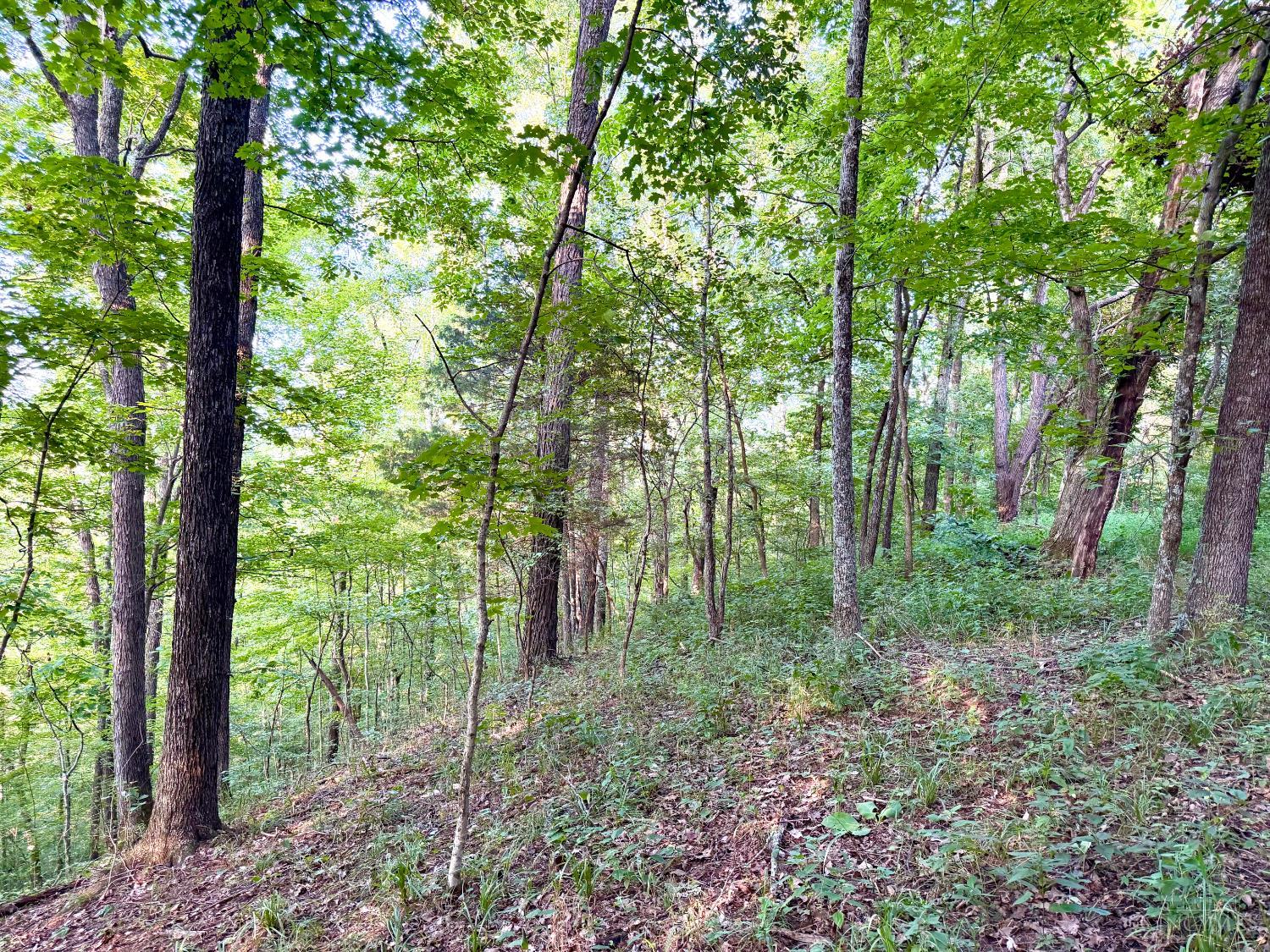 Keesee Road Property Photo 52