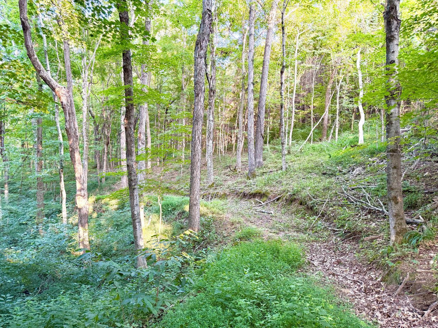 Keesee Road Property Photo 55
