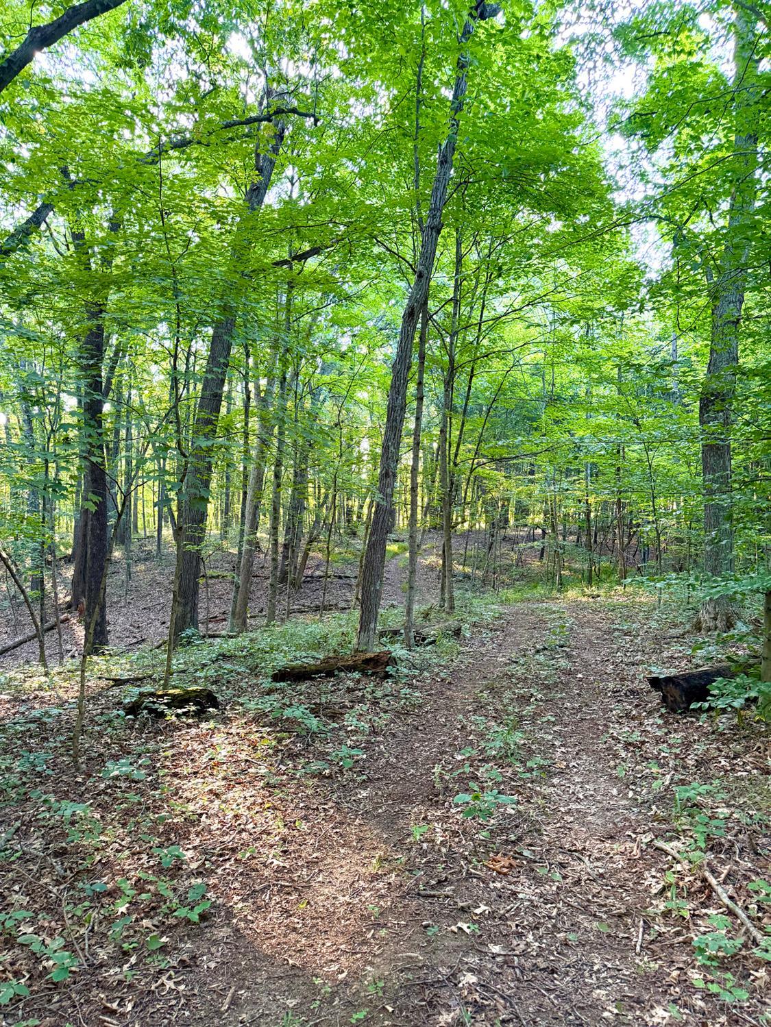 Keesee Road Property Photo 59
