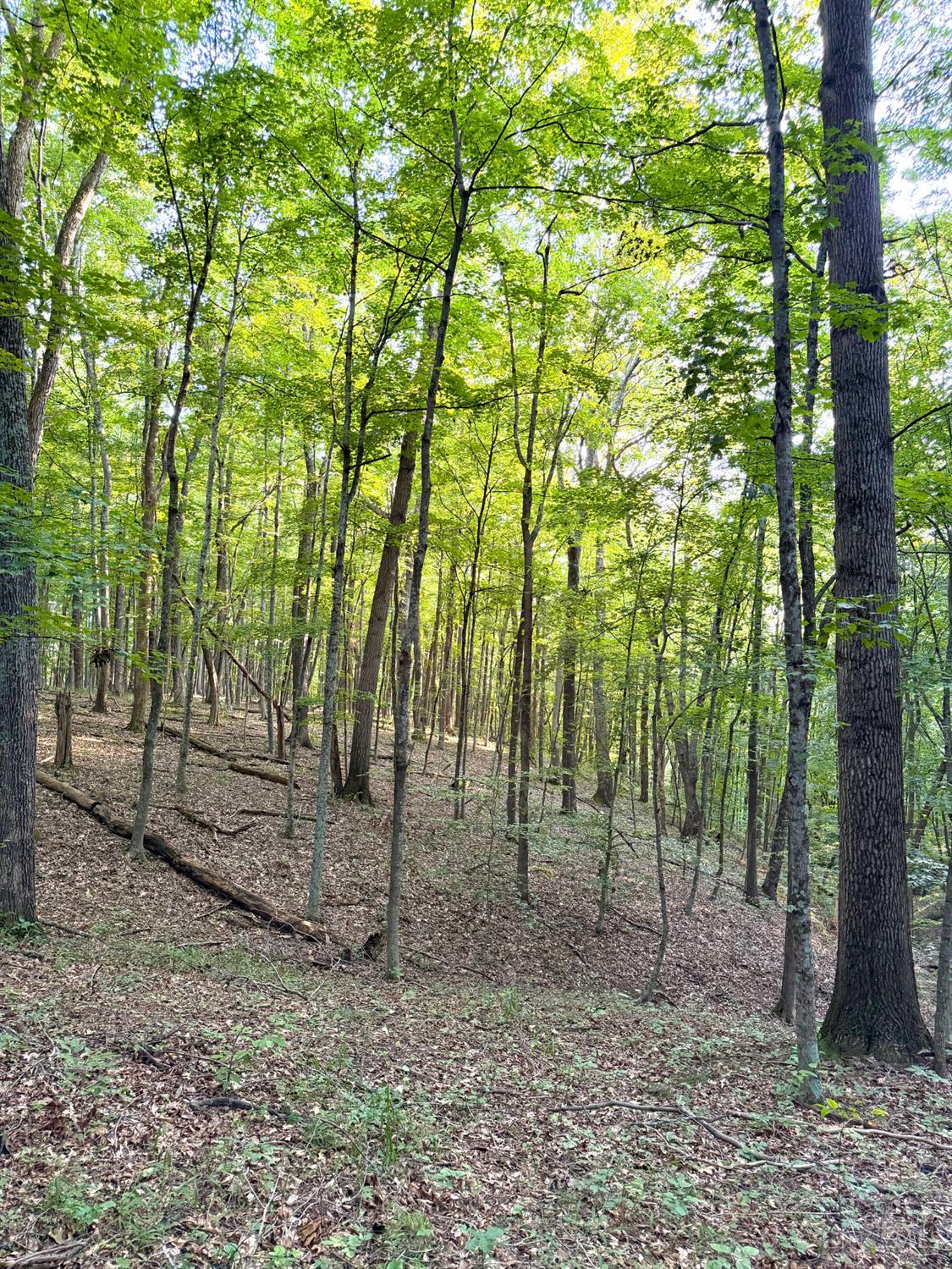Keesee Road Property Photo 60