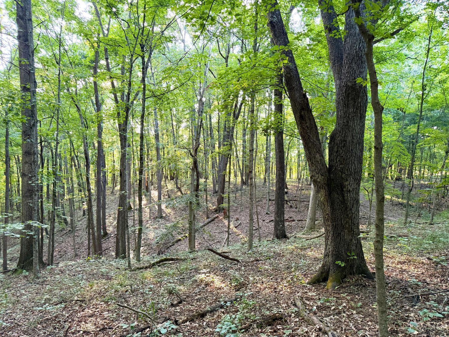 Keesee Road Property Photo 61