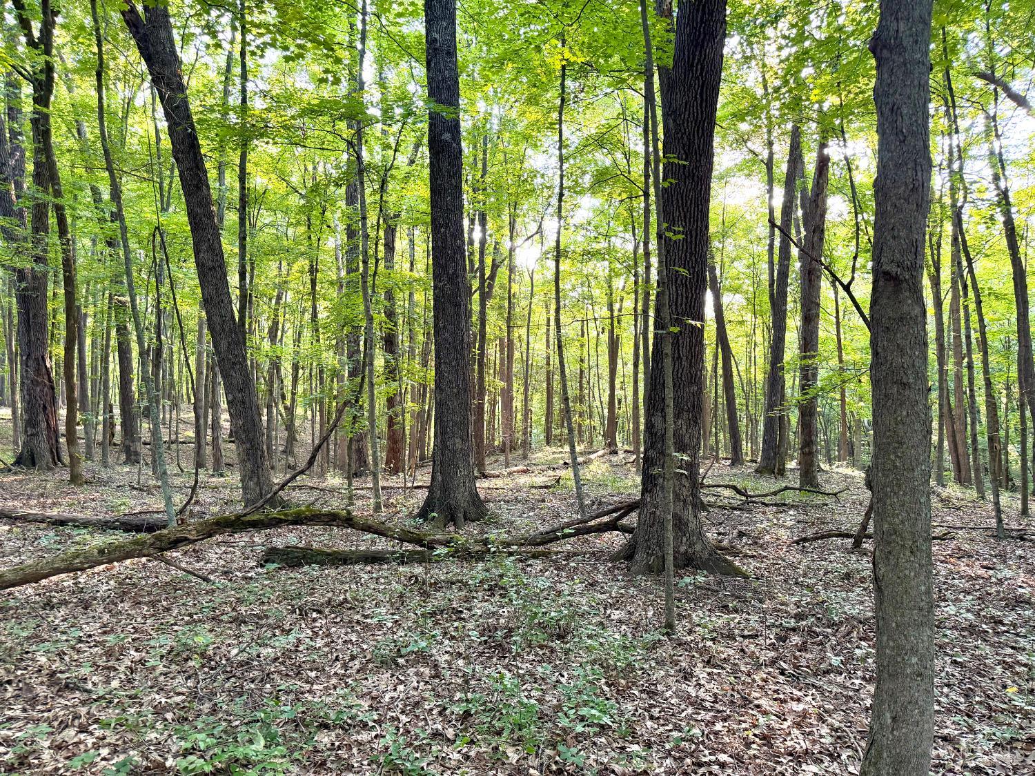 Keesee Road Property Photo 62