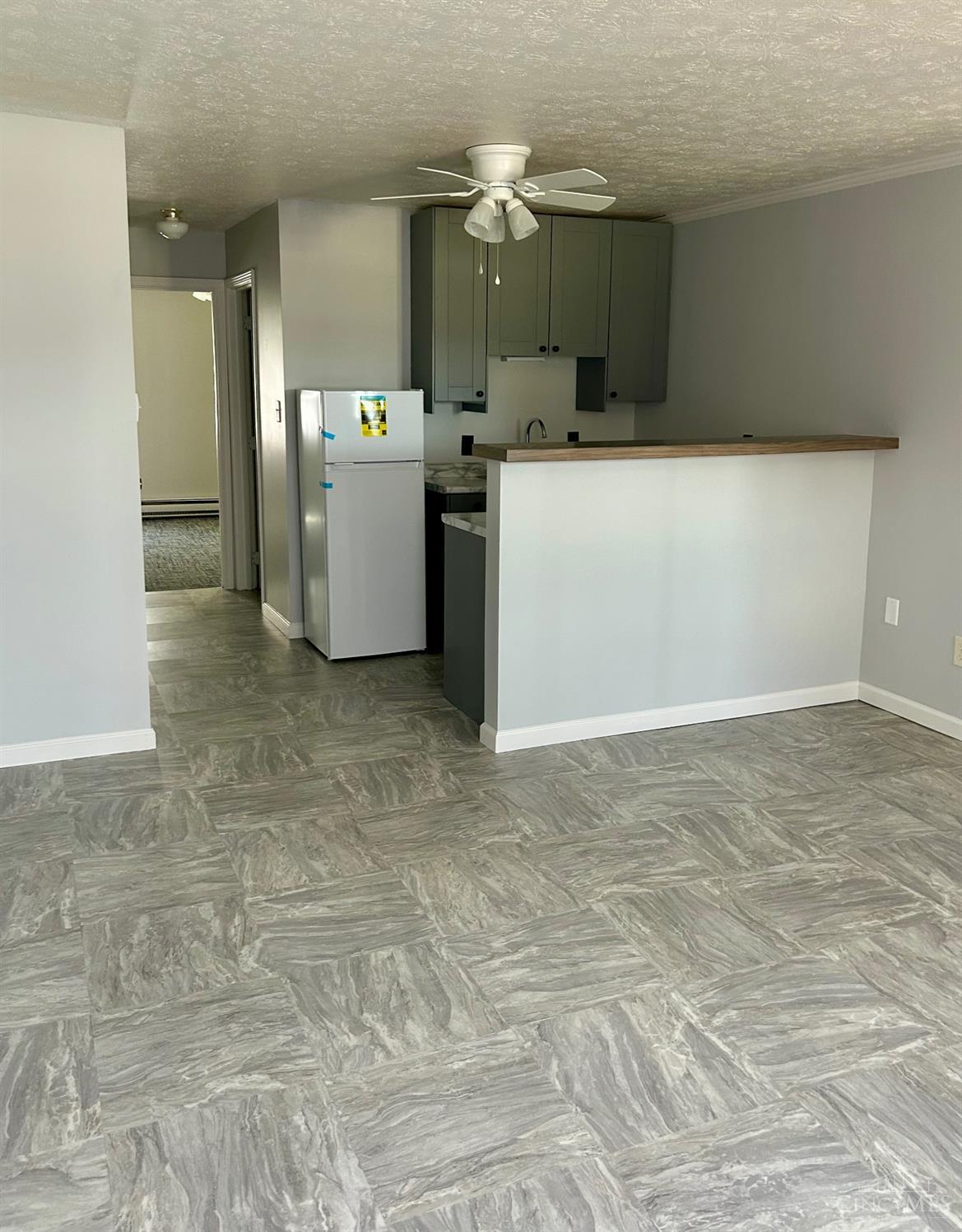 101 Race Street Property Photo 6