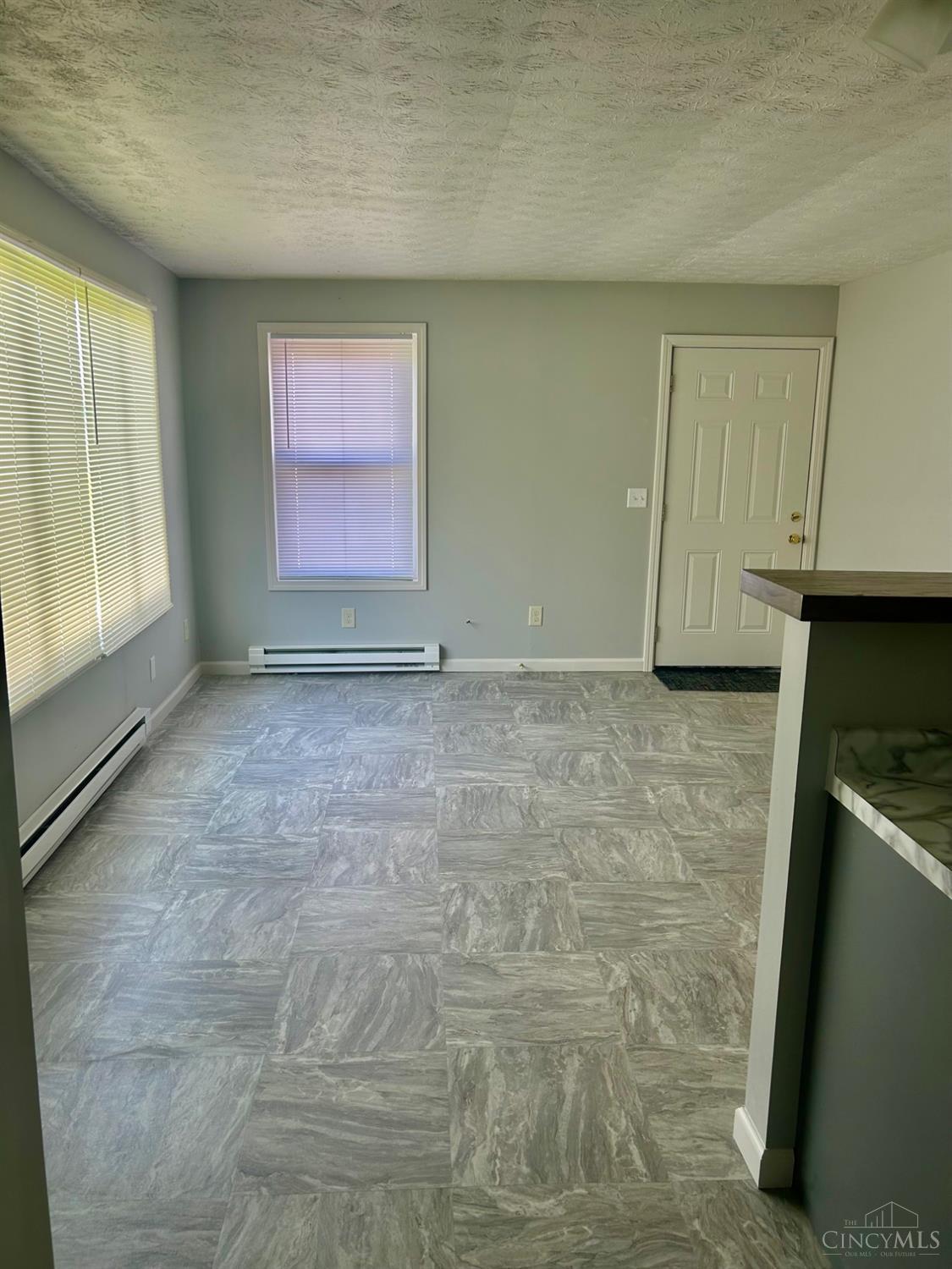 101 Race Street Property Photo 7