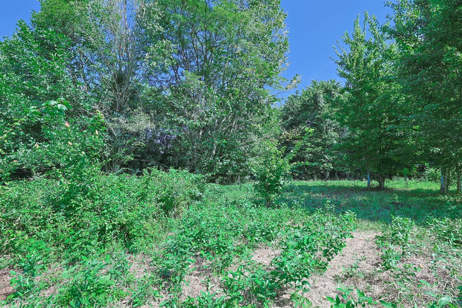 Richey Road Property Photo 6