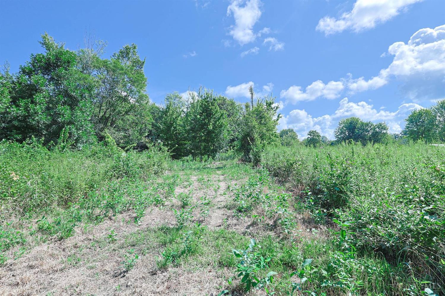 Richey Road Property Photo 7