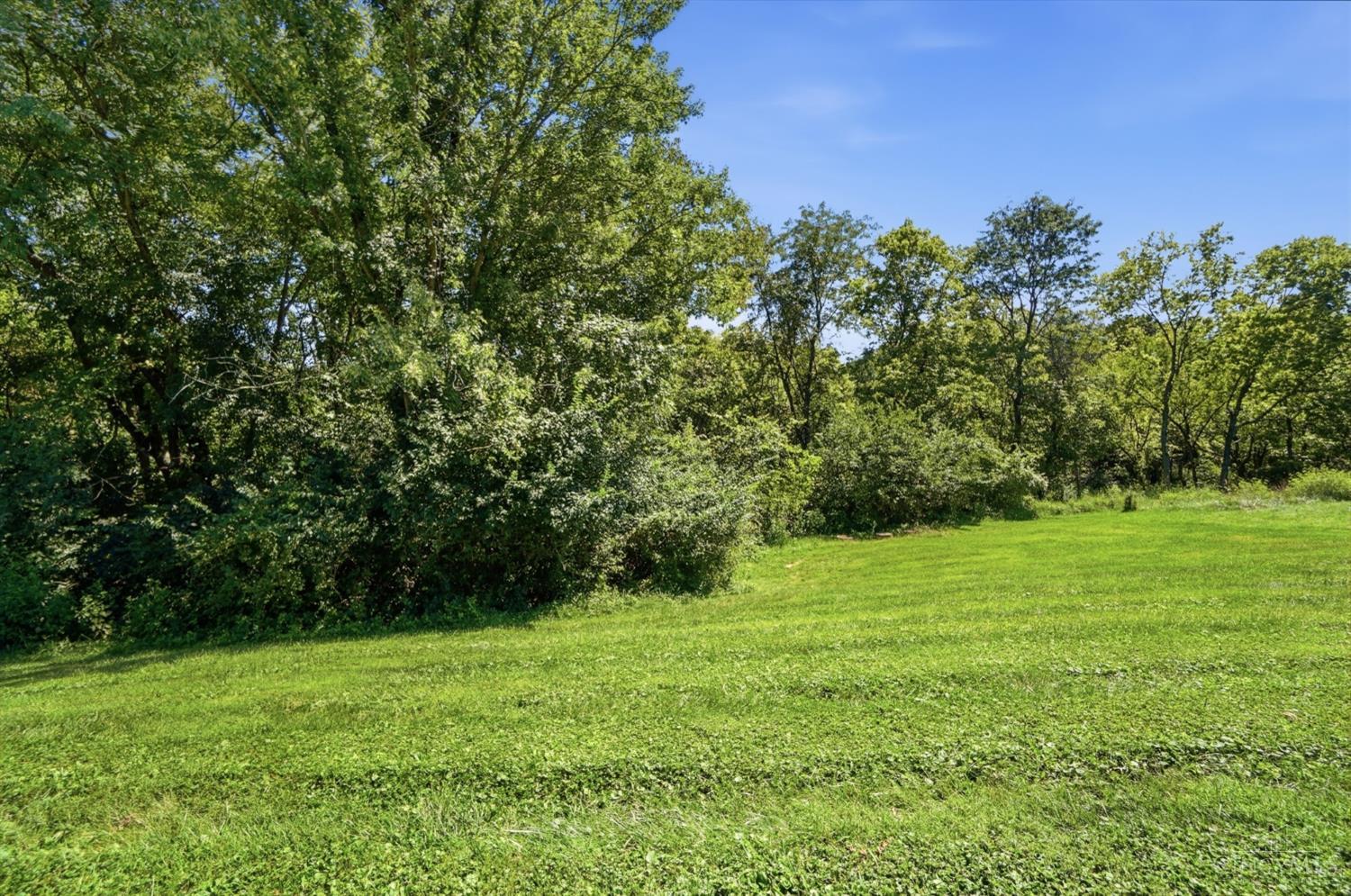 7795 Mitchell Park Drive Property Photo 78