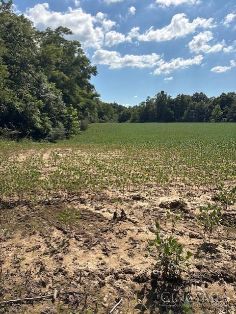 Calvary Road Property Photo 2