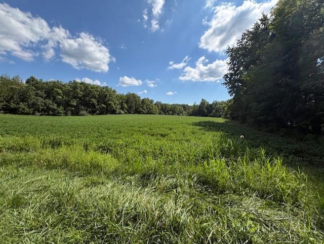 Calvary Road Property Photo 5
