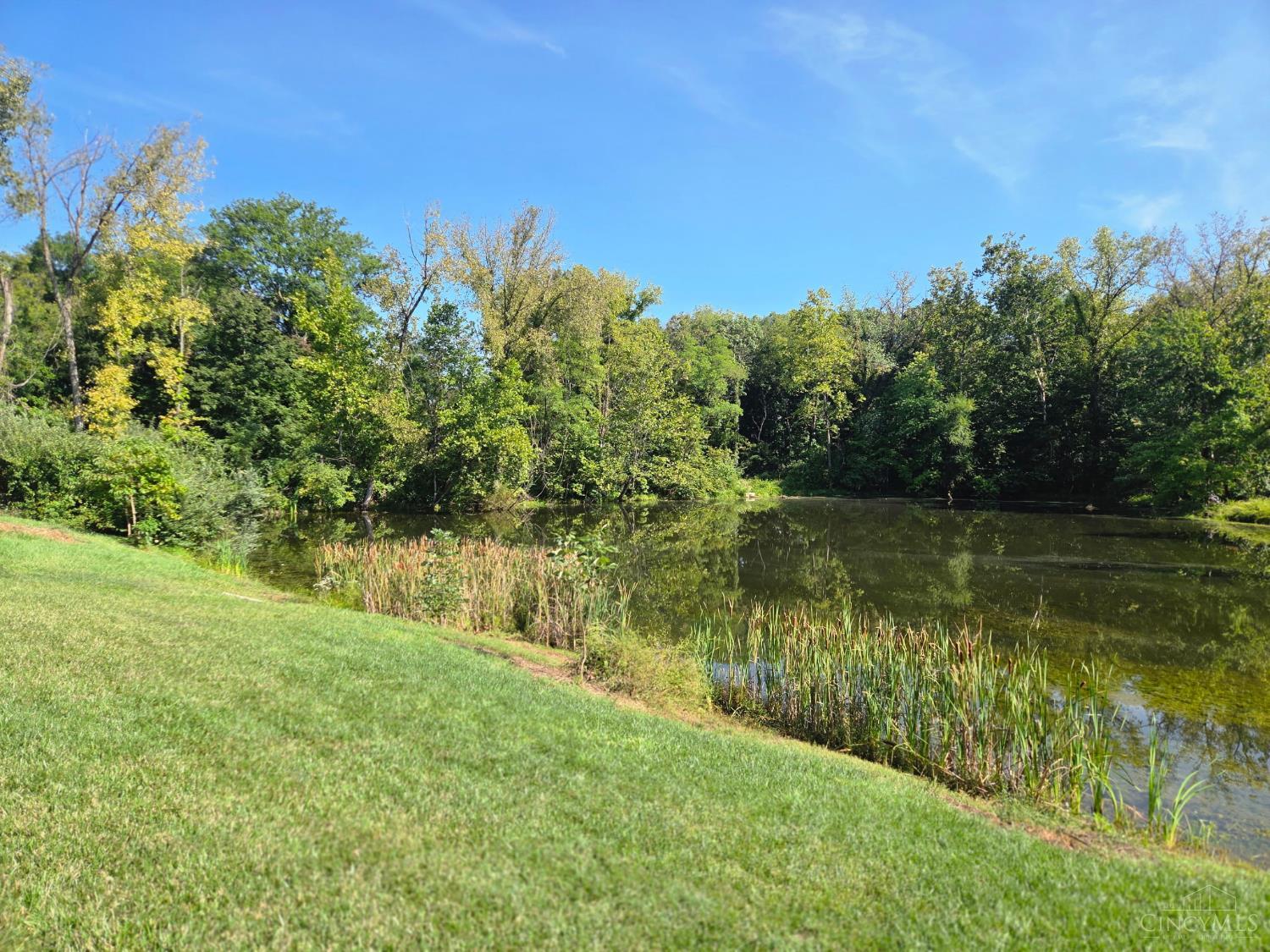 5006 Allens Ridge Drive Property Photo 38