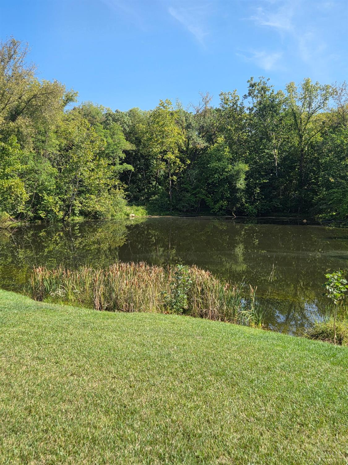 5006 Allens Ridge Drive Property Photo 40