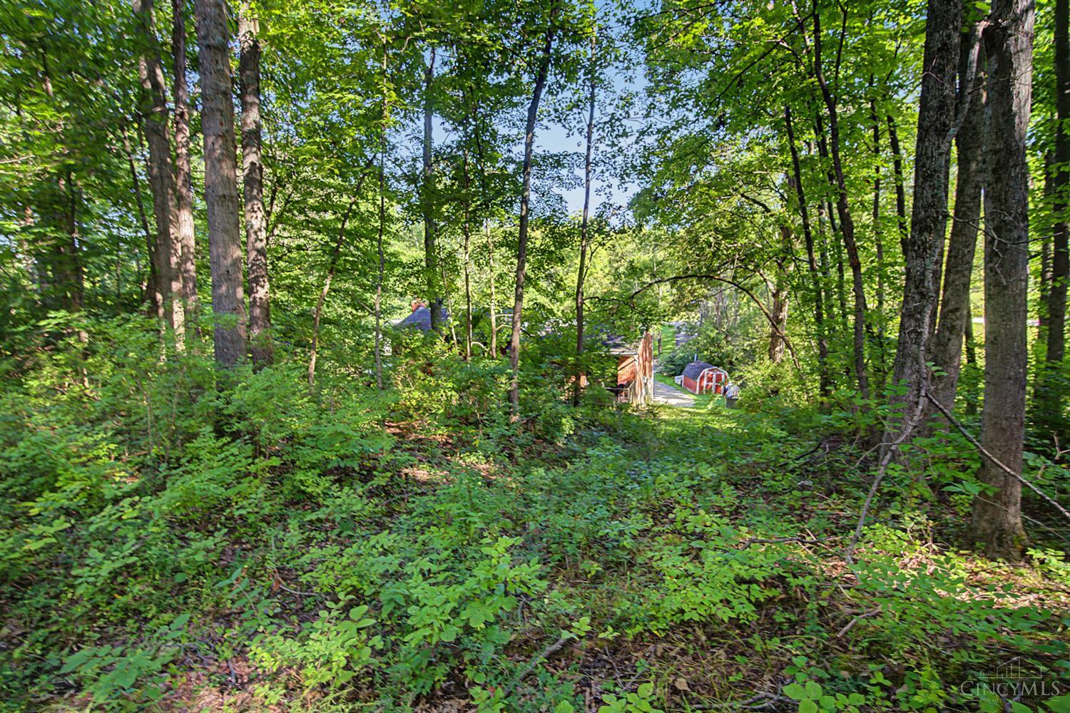 3357 Number Nine Road Property Photo 37