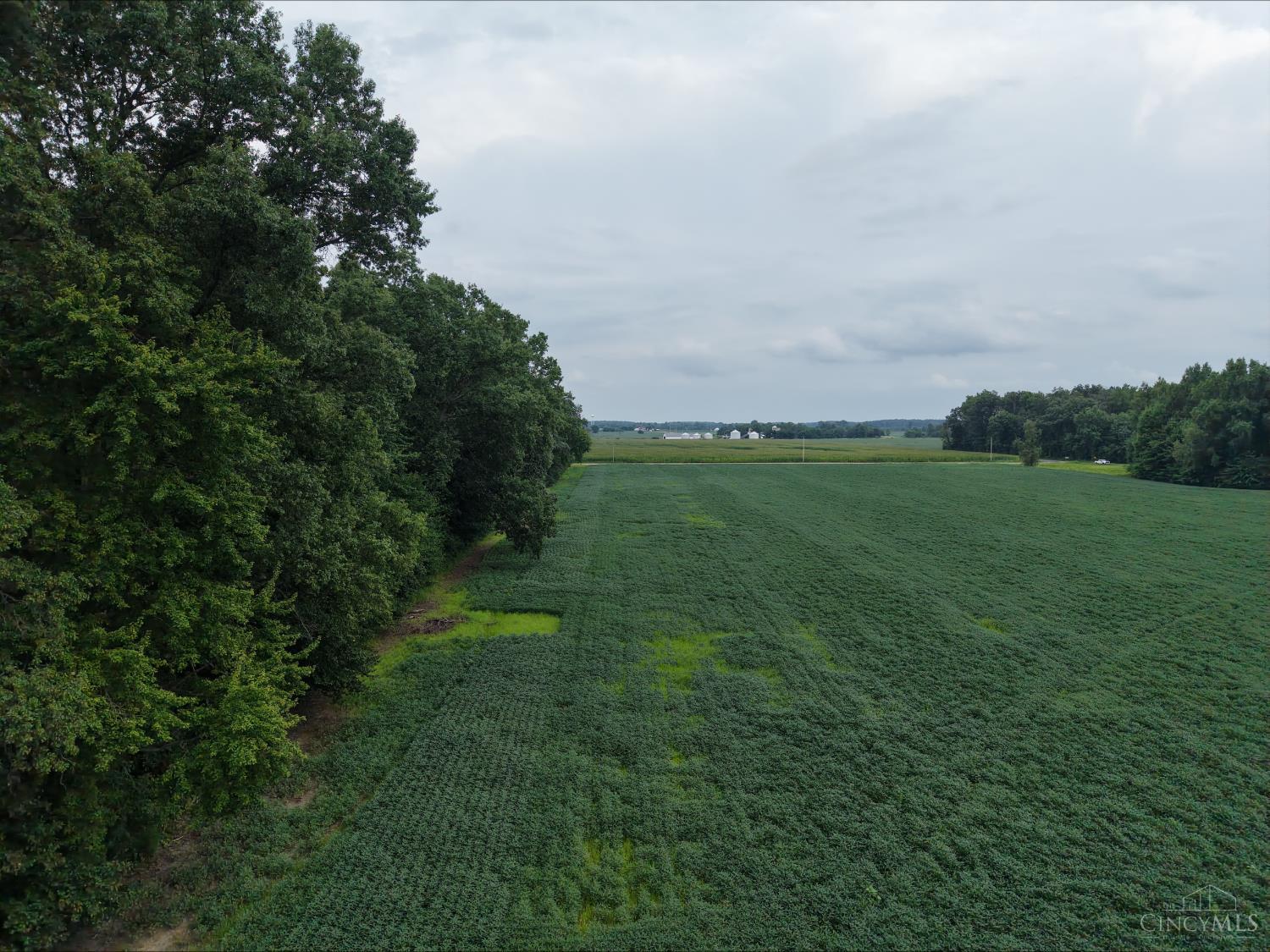 Tar Pike Road Property Photo 7