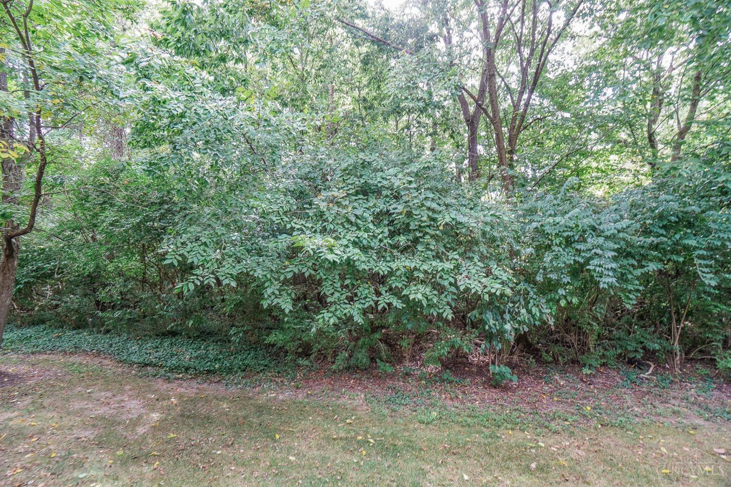 4185 Spyglass Hill Property Photo 24
