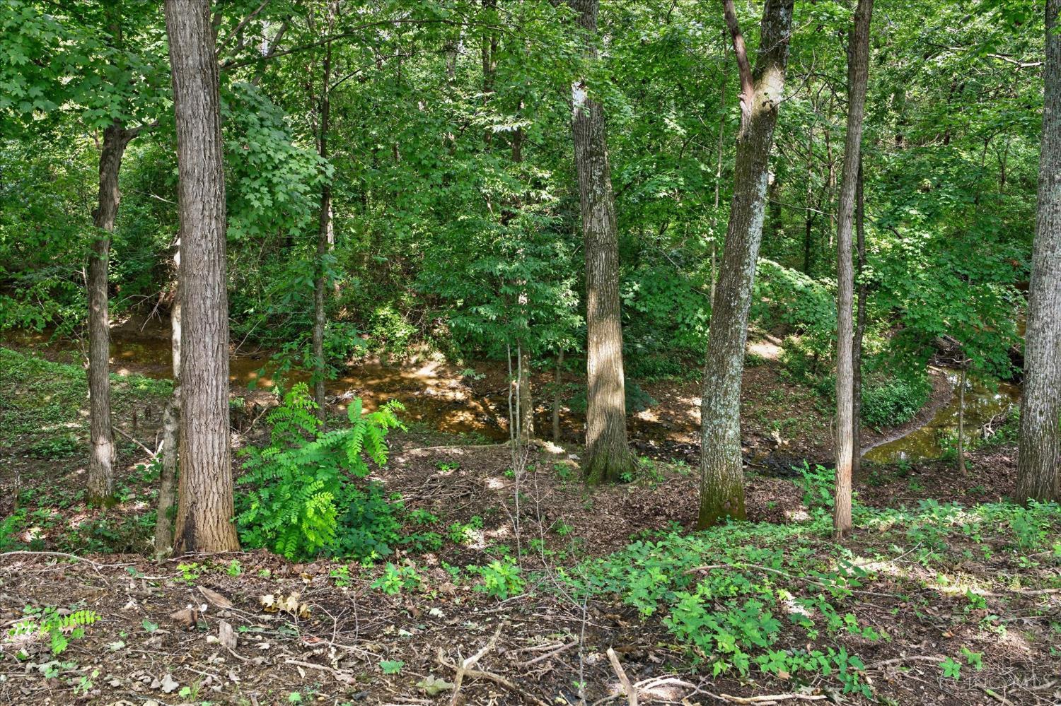5203 Decatur Pike Property Photo 41