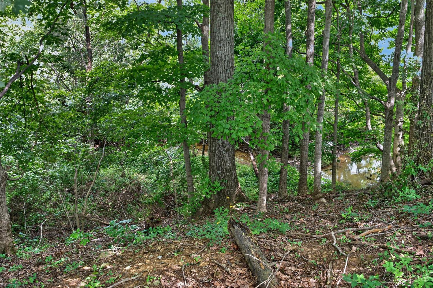 5203 Decatur Pike Property Photo 48