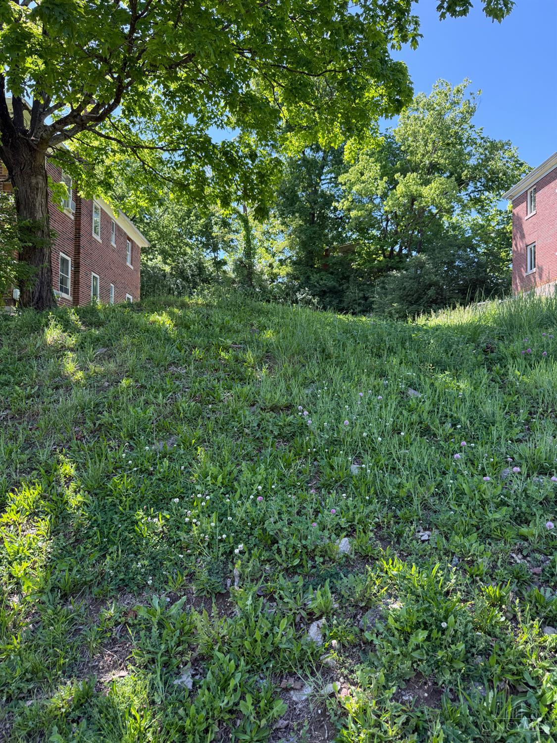 3127 Bracken Woods Lane Property Photo 1