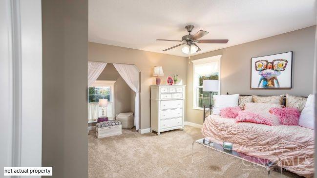 3101 Canvasback Court Property Photo 12