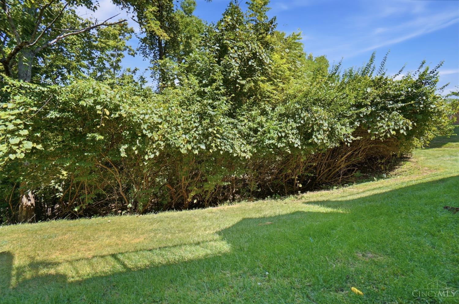 5462 Victorian Way Property Photo 33