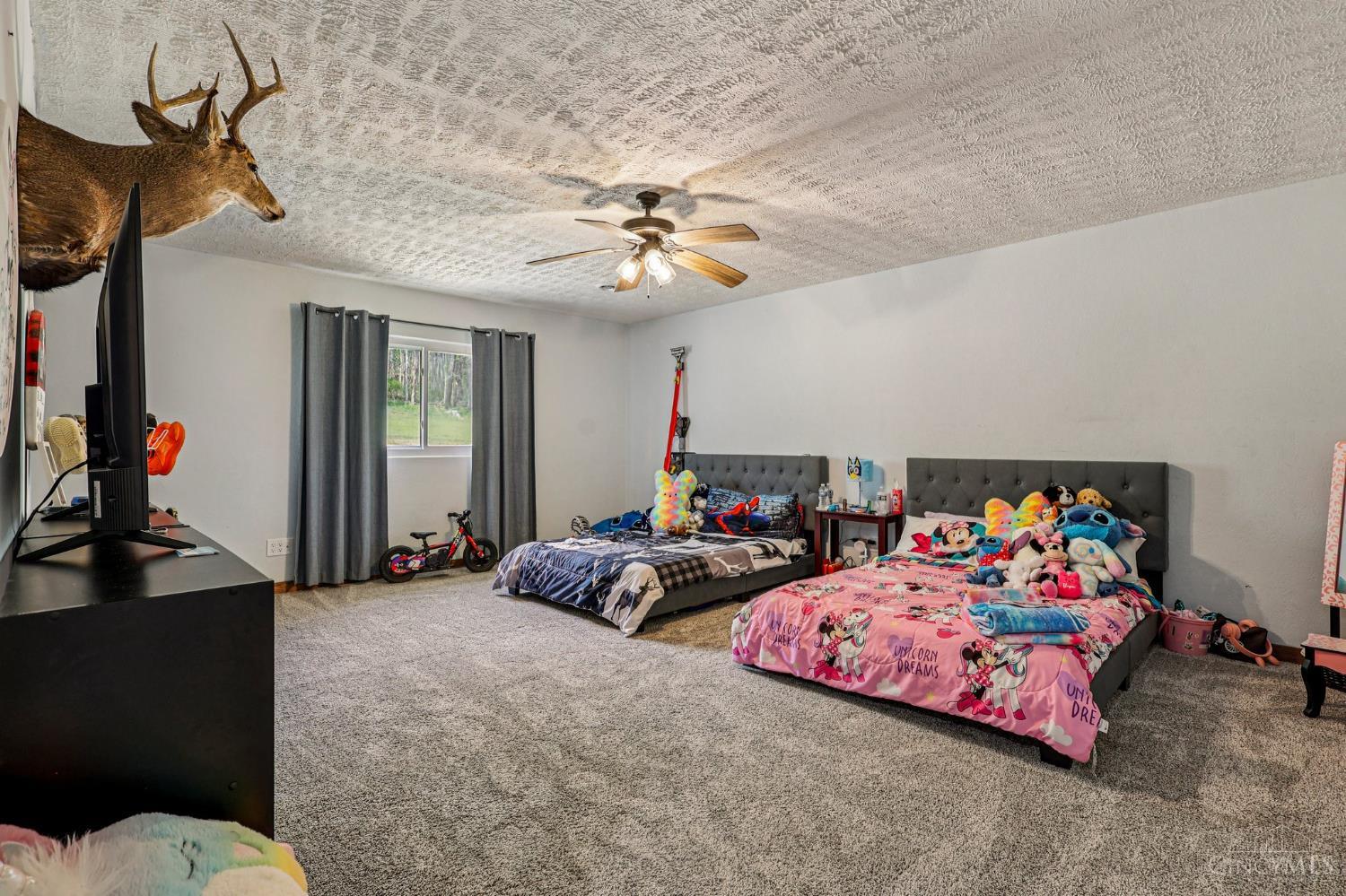189 Hamilton Road Property Photo 29