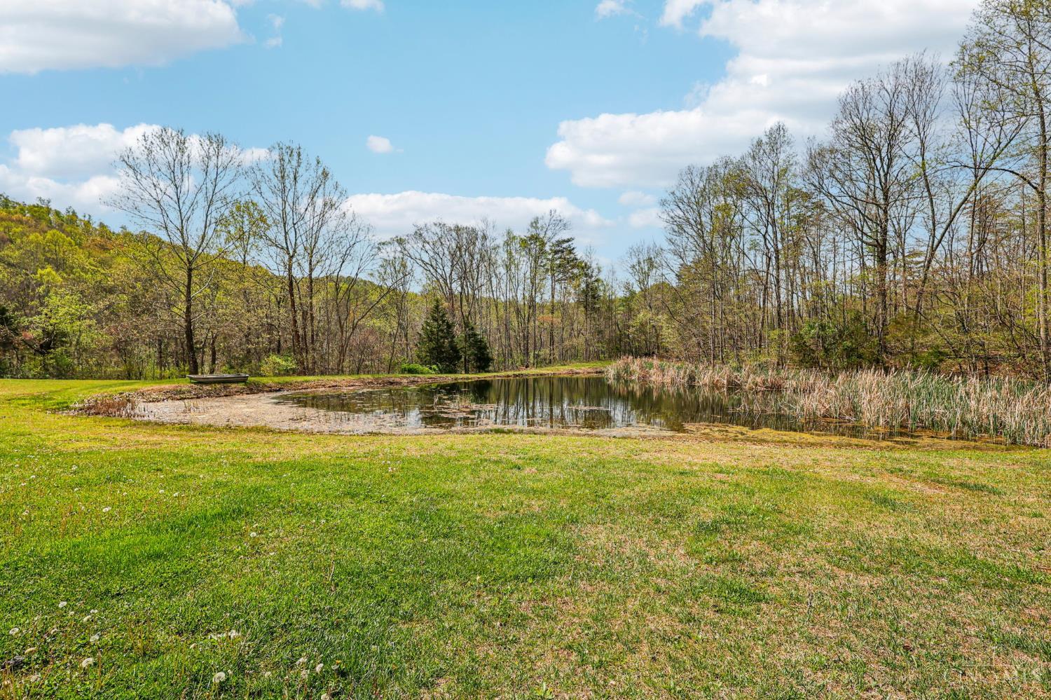 189 Hamilton Road Property Photo 48