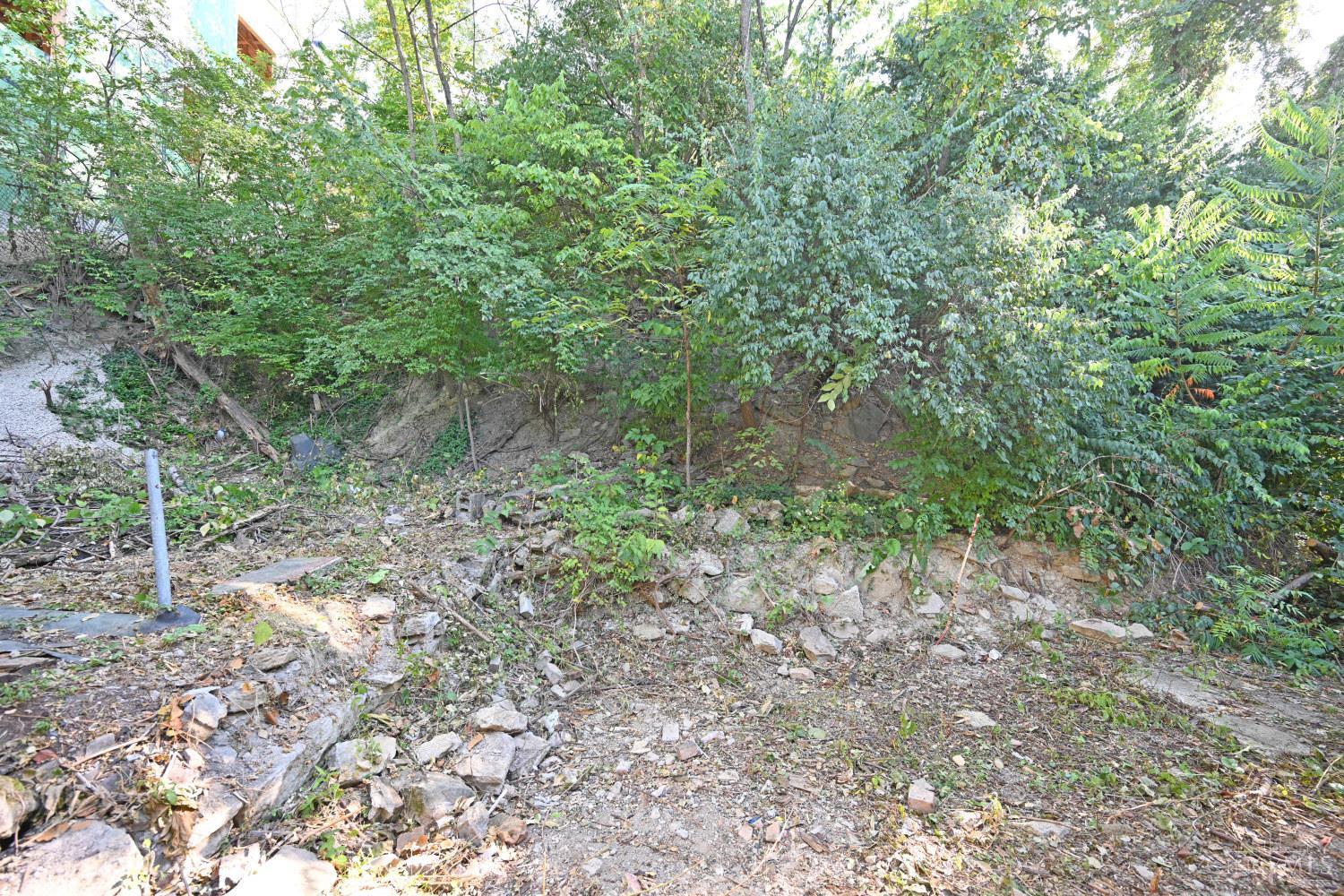 E 38 Clifton Avenue Property Photo 26