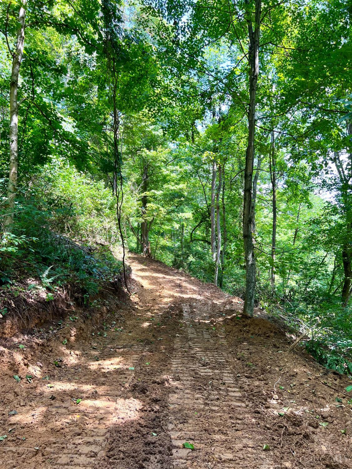 Greenbriar Road Property Photo 3
