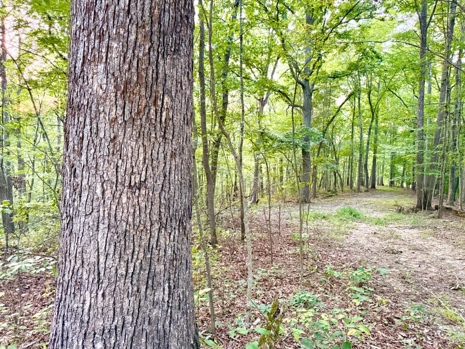 Greenbriar Road Property Photo 5