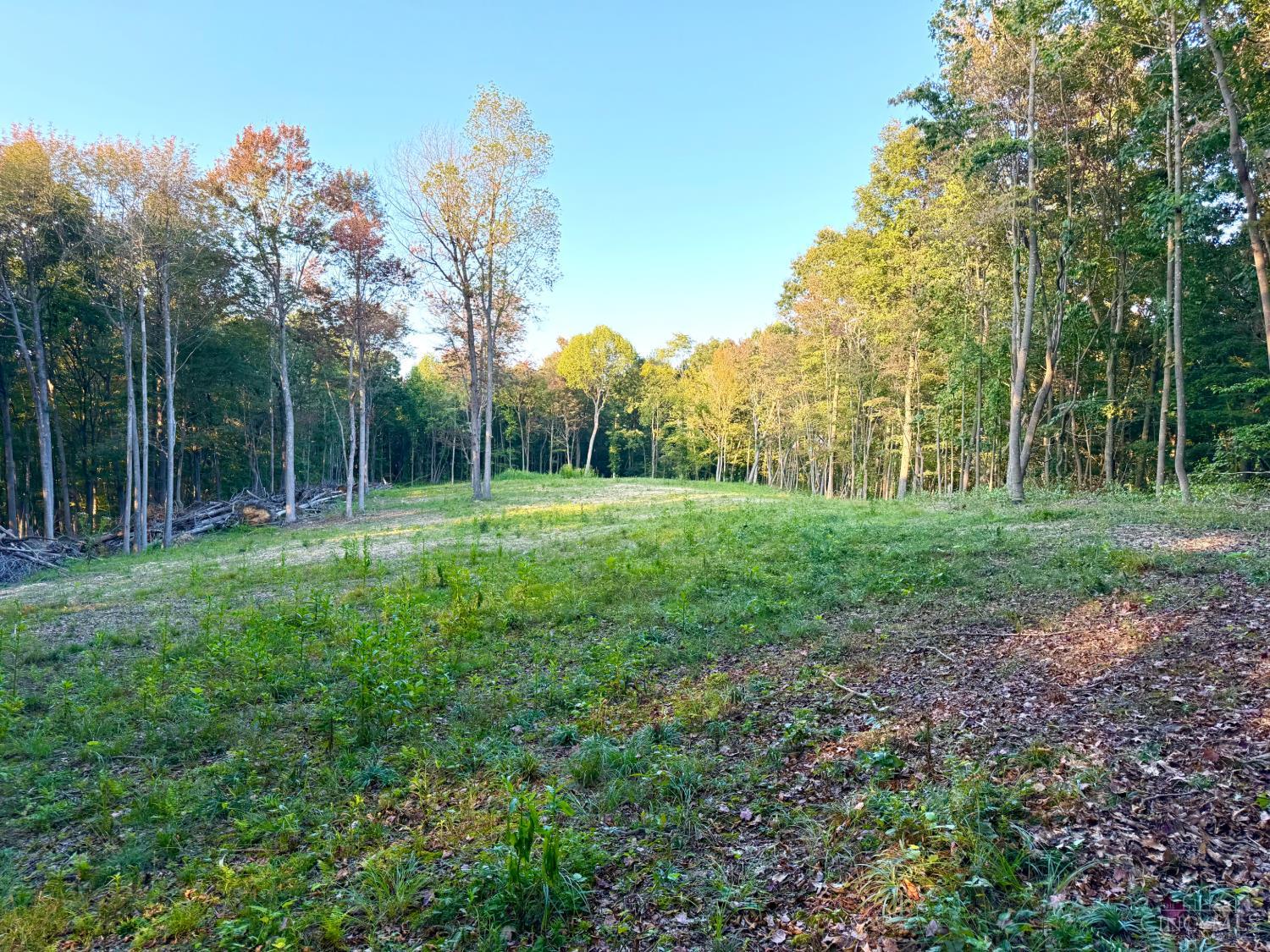 Greenbriar Road Property Photo 11