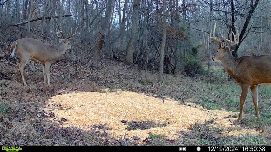 Greenbriar Road Property Photo 23