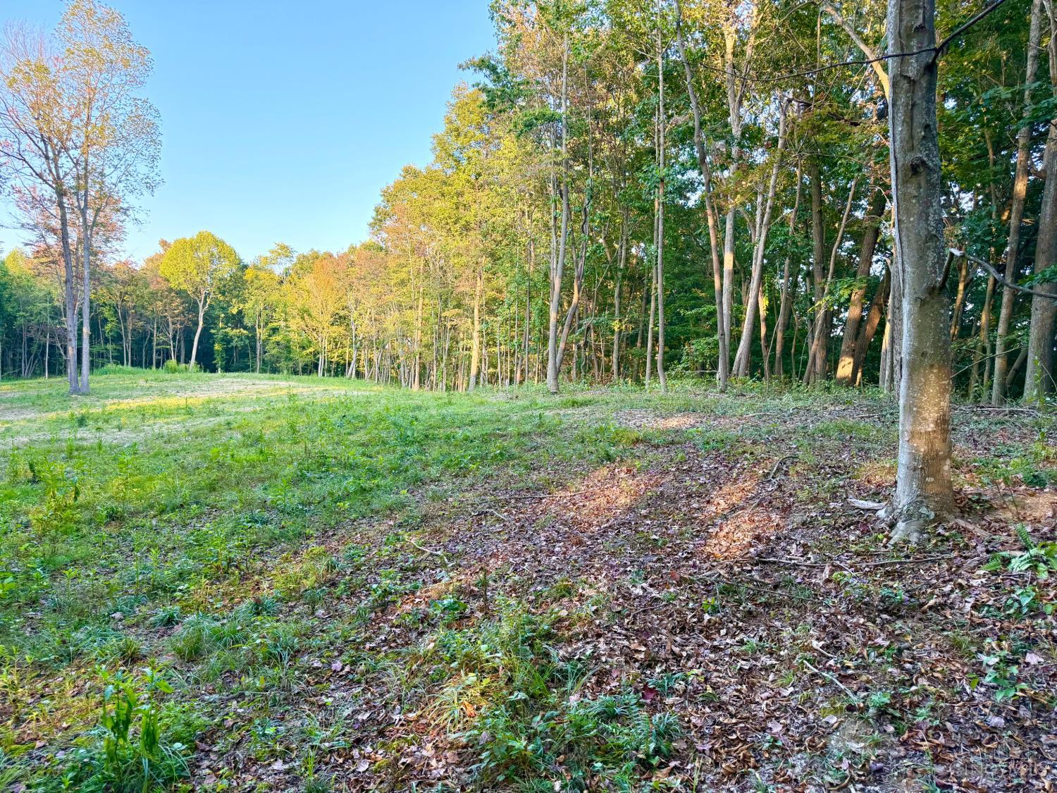 Greenbriar Road Property Photo 30
