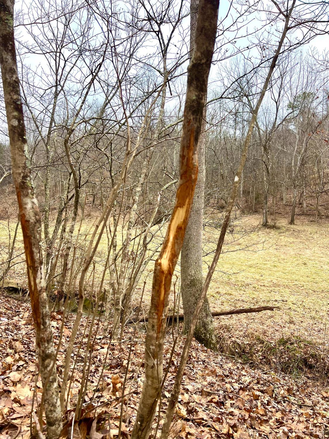 Greenbriar Road Property Photo 35