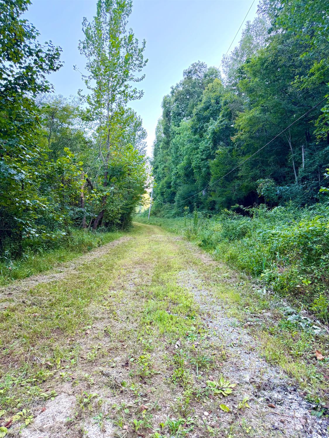 Greenbriar Road Property Photo 40
