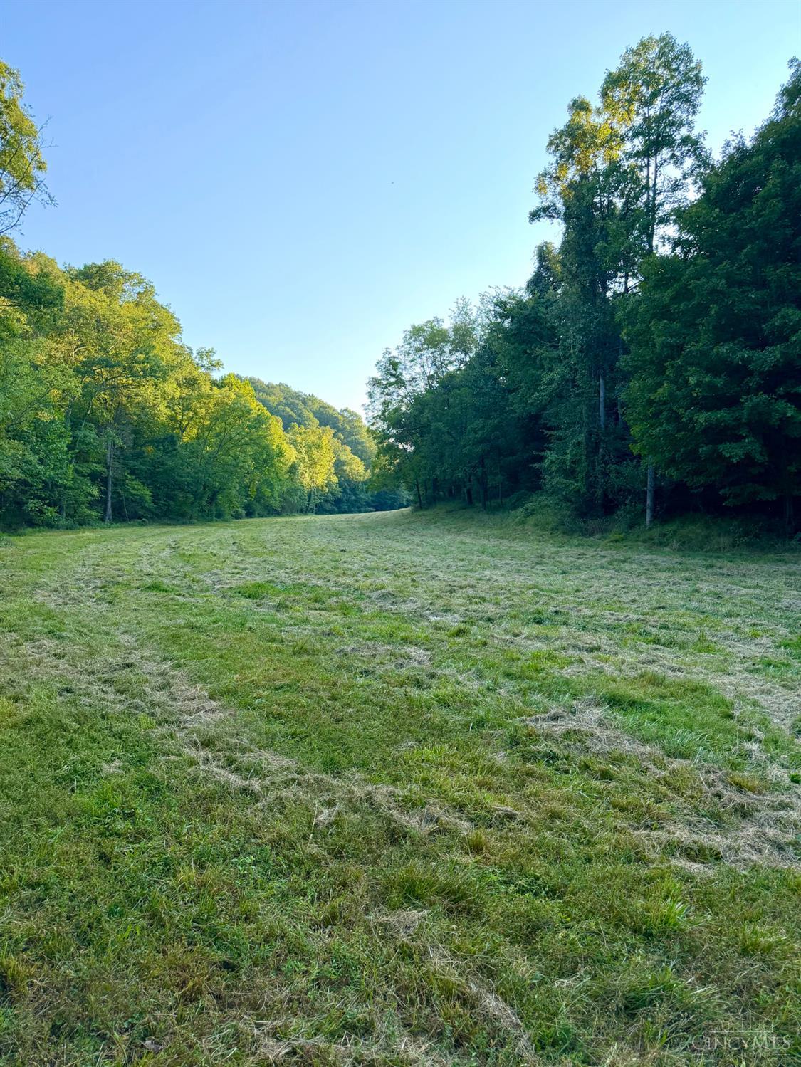 Greenbriar Road Property Photo 42