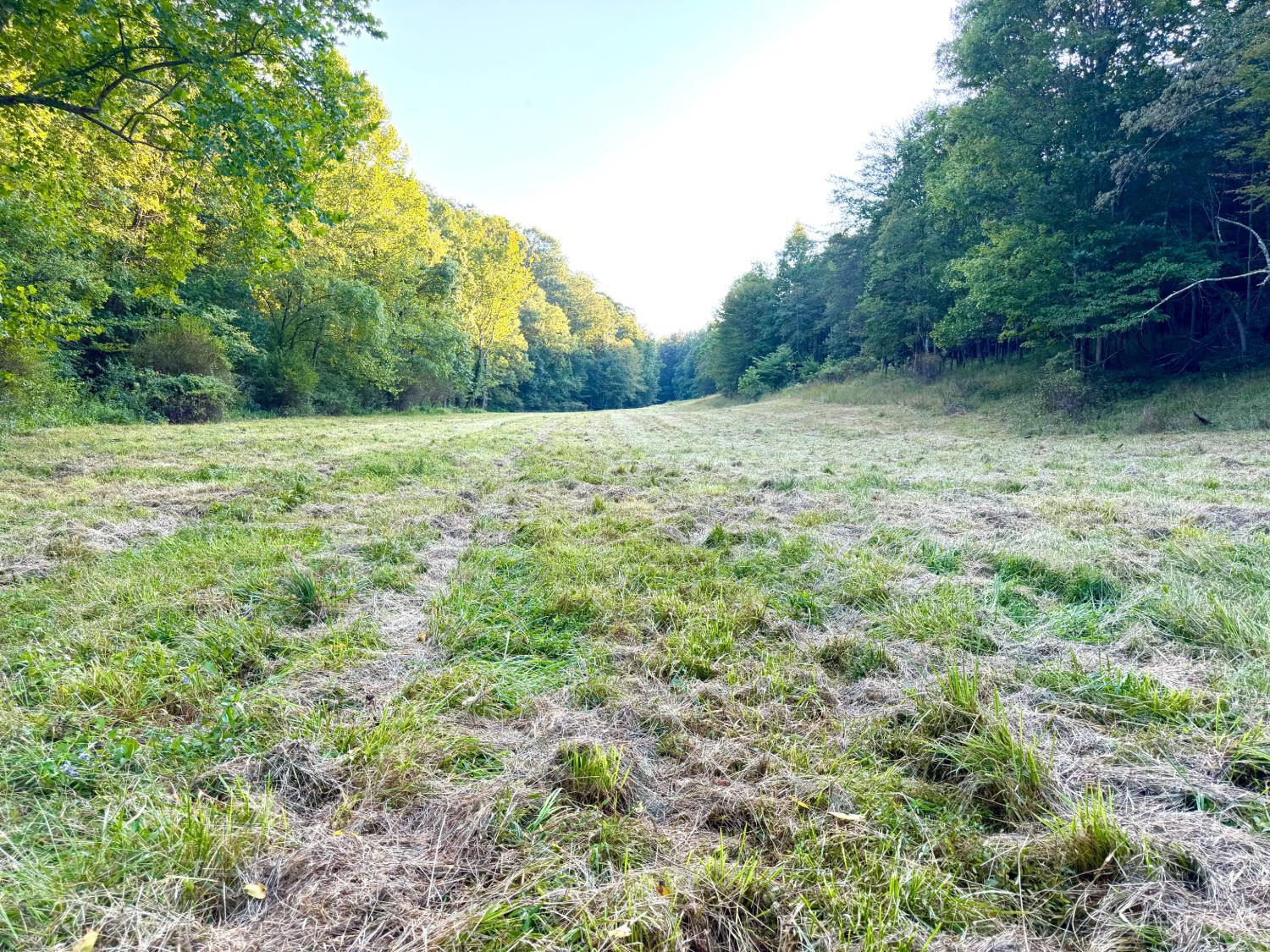 Greenbriar Road Property Photo 43