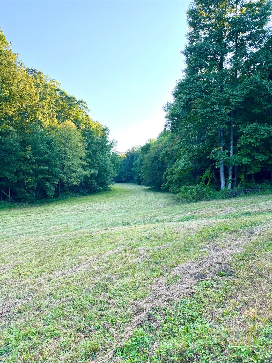 Greenbriar Road Property Photo 44