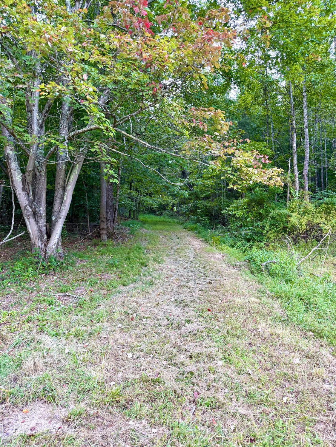 Greenbriar Road Property Photo 45