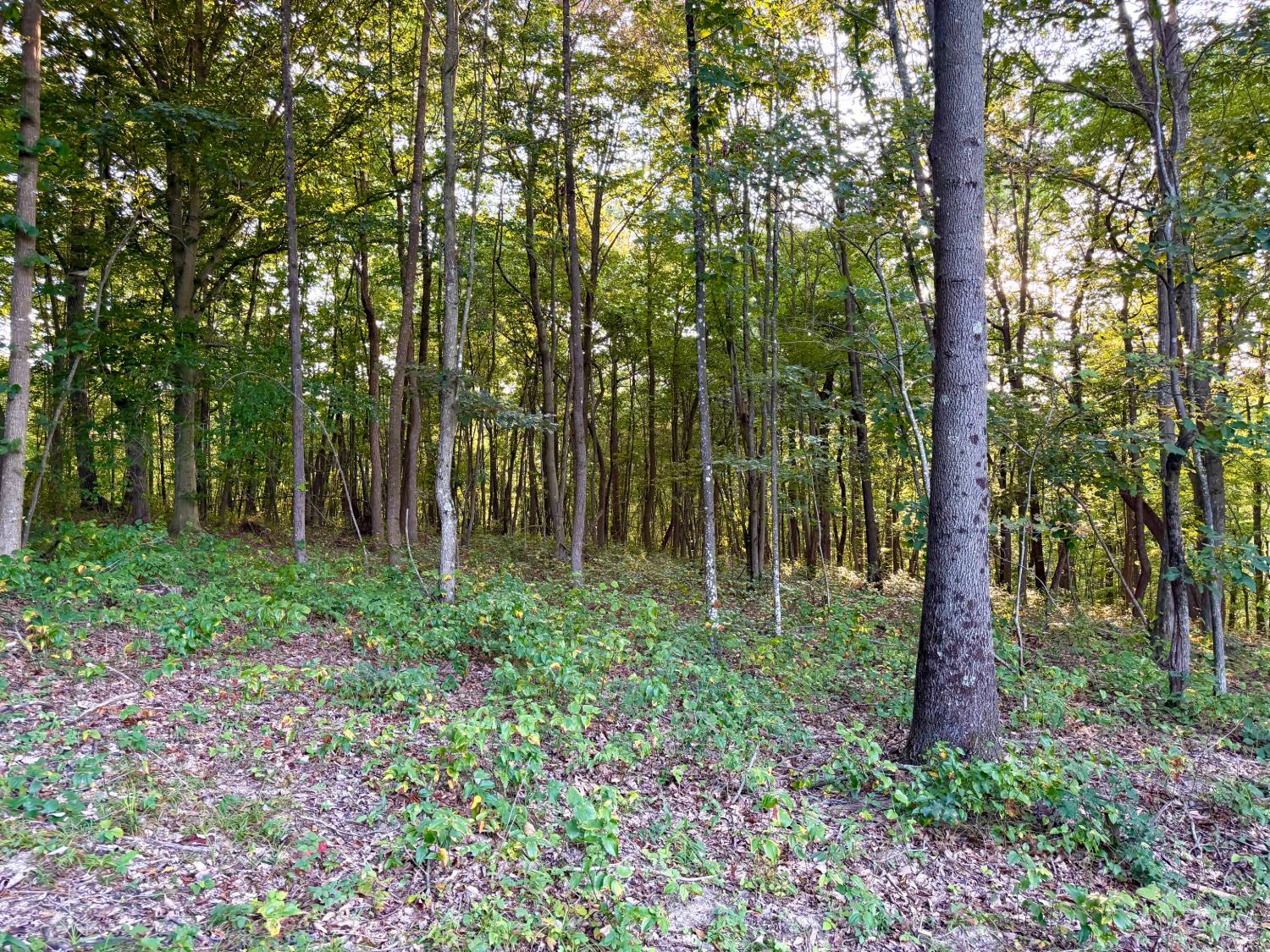 Greenbriar Road Property Photo 51
