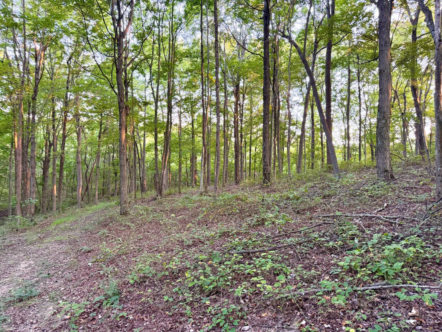 Greenbriar Road Property Photo 61