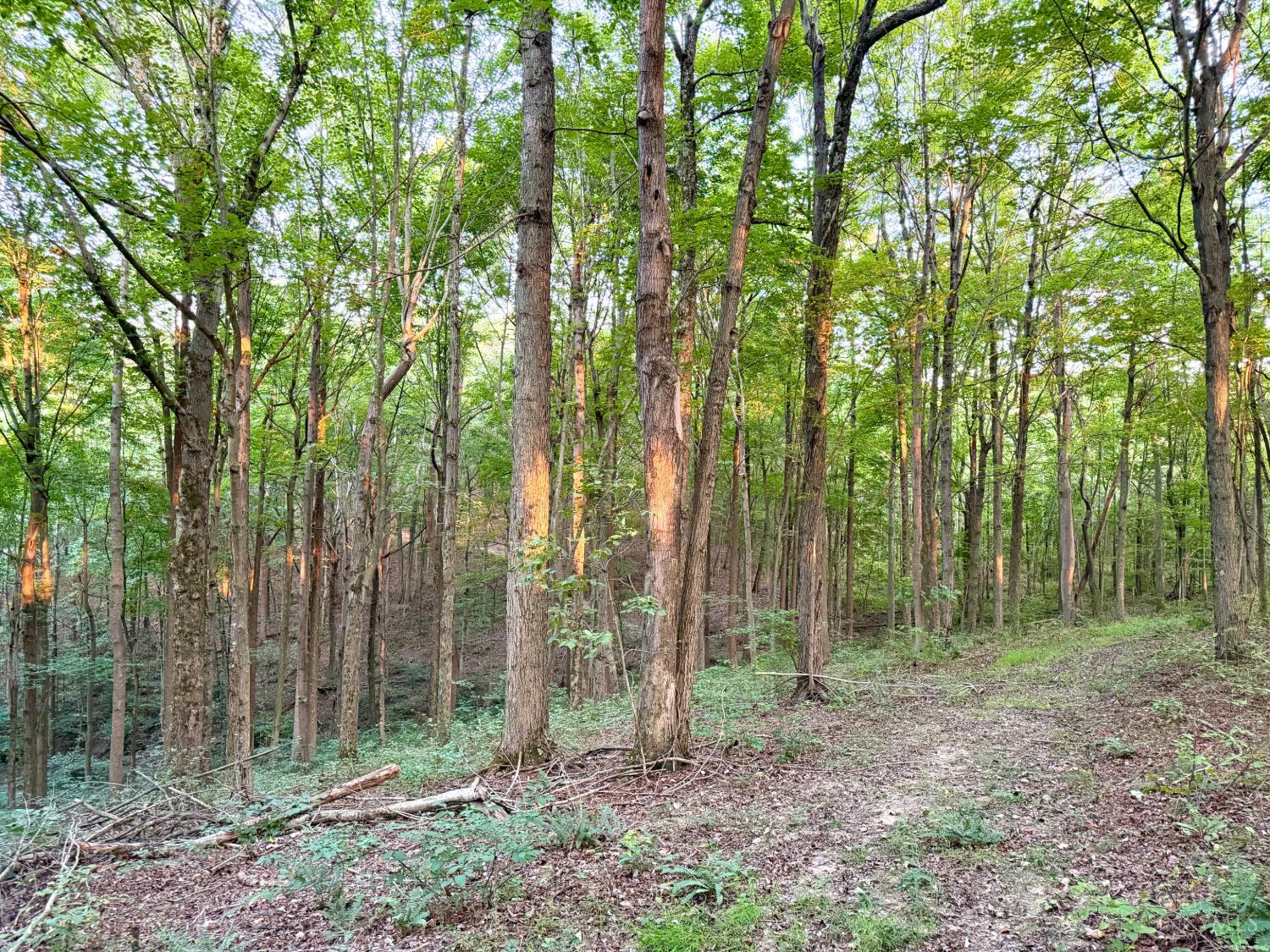Greenbriar Road Property Photo 62