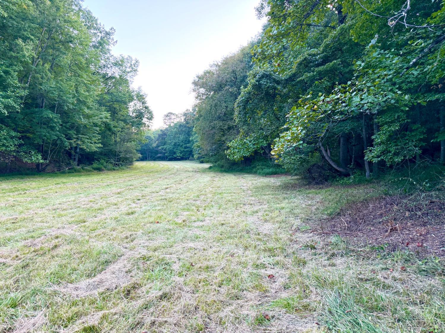 Greenbriar Road Property Photo 64